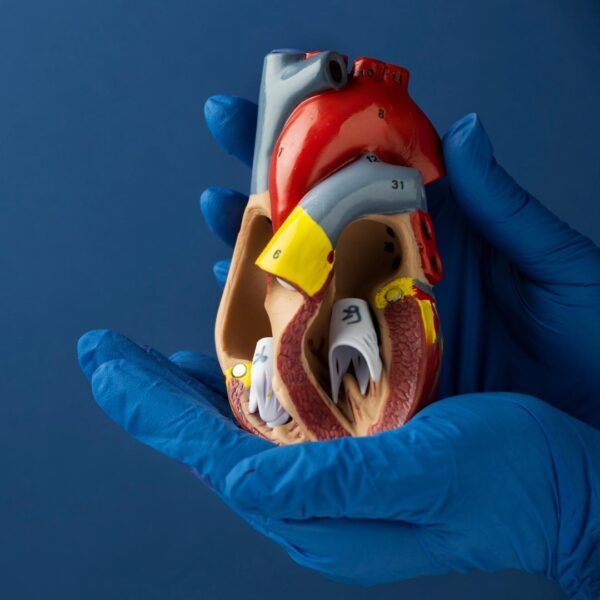 Enfermedades cardiovasculares: factores de riesgo y prevención